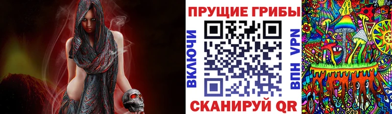 Псилоцибиновые грибы мухоморы нарко площадка телеграм Змеиногорск